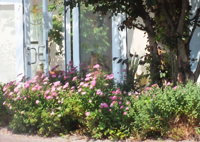 Seehotel & Restaurant Karlslust 스토카우